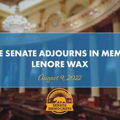 CA State Senator Ben Allen gives a touching tribute to Lenore on the Senate floor August 9, 2022